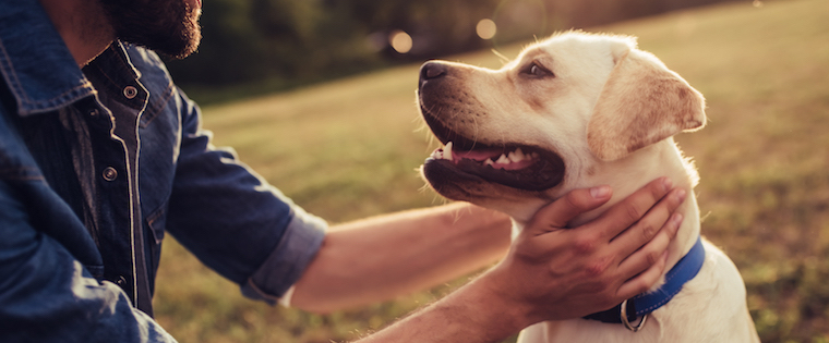 How to Care for your Dog’s Skin this Summer