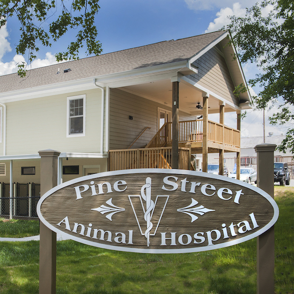 Pine Street Animal Hospital
