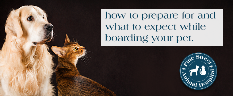 How to prepare for and what to expect while boarding your pet.....